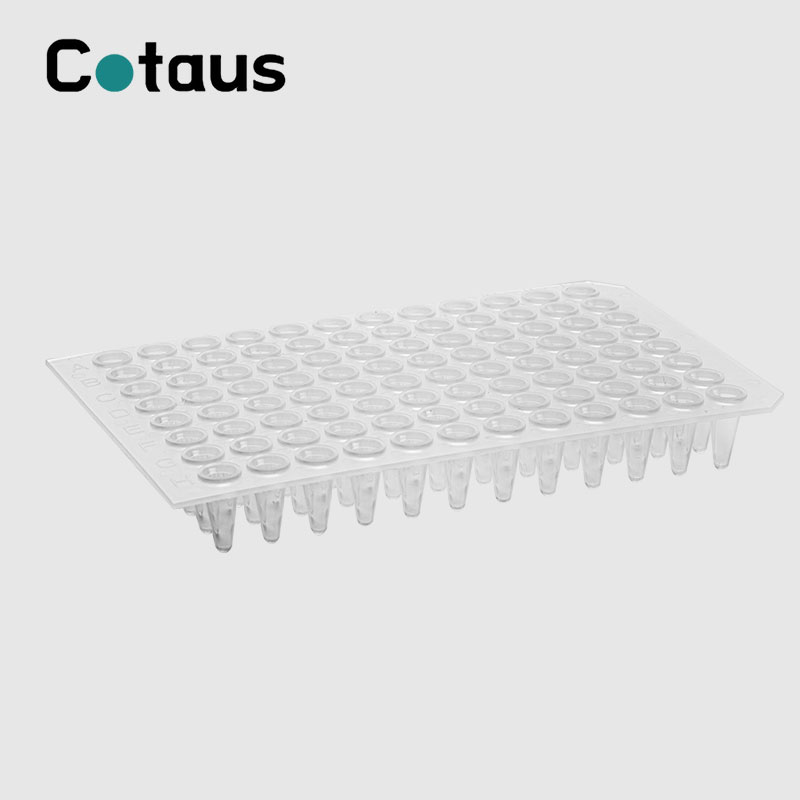 96 బాగా 0.2ml పారదర్శక నో స్కర్ట్ PCR ప్లేట్